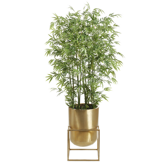 BAMBOO IN STAND