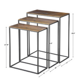 COREENE NESTING TABLES S/3