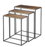 COREENE NESTING TABLES S/3