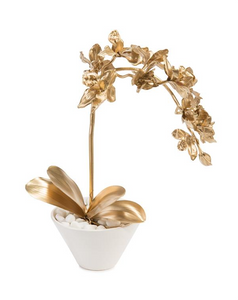 A gold orchid flower in a white ceramic pot .