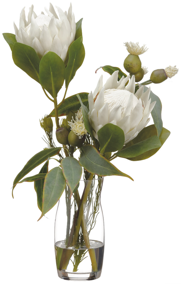 PROTEA WOLLY IN VASE