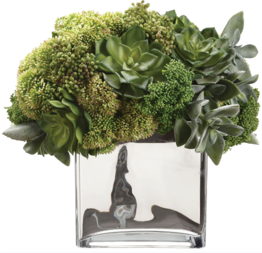 SUCCULENT SEDUM VASE