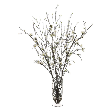 Quince Blossom and Twig in Glass Vase