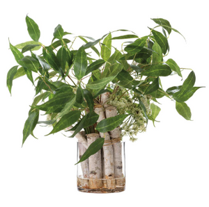 Eucalyptus, Queen Anne Lace, and Birch in Glass Vase