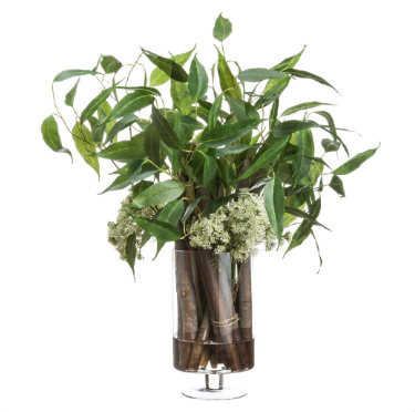 Eucalyptus, Queen Anne's Lace, and Wood in Glass Vase