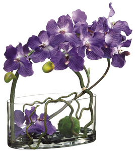 VANDA ORCHIDS