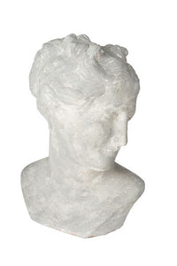 VENUS BUST - Donna's Home Furnishings in Houston