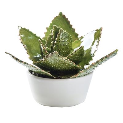 CACTUS PLANTER